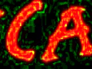 Latina veronica avluv sucks a cock through a glory hole while masturbating in lingerie