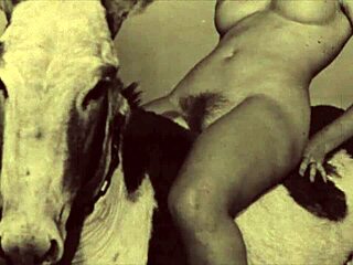 yo, check dark lantern entertainment's beauty and the beast! 😍