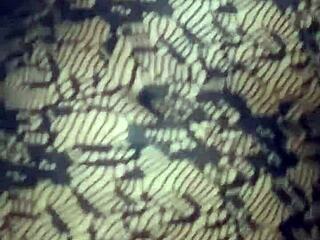 i'm pussy jacking off only