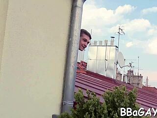 gay porn features intense fucking and sucking in wild way-out scenes