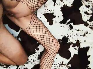 Amateur couple pounds milf ass hard in anal sex