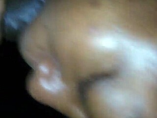 Amateur Satin Sheetz Gives Head in Snippet