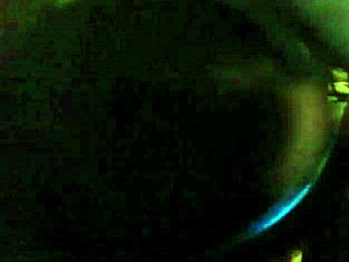 liza the pet from argentina