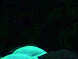 britney madison explores blacklight sex with hardcore fetish elements