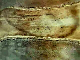 neighbor's dirty underwear