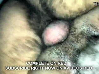 19 Loves View Of Hairy Ass