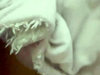 Samlingsalbum av intime øyeblikk med naboen, del to