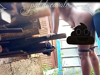 At My Friend’s Anniversary, I Banged His Hot Chick in the Backyard, Wild Stuff