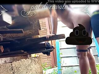 At My Friend’s Anniversary, I Banged His Hot Chick in the Backyard, Wild Stuff