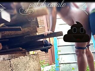 At My Friend’s Anniversary, I Banged His Hot Chick in the Backyard, Wild Stuff