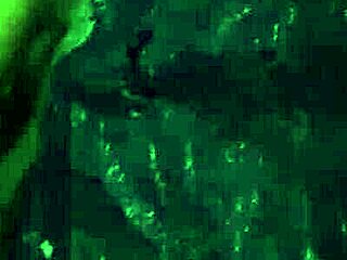 she watched helplessly as extreme big toys ravaged her anal in public view