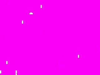 gorgeous dykes find intense pleasure after a wild catfight