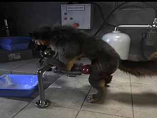 yo, check this h0rs3 compilation with crazy fucking machine action! 😜