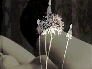 I have this secret life with vintage bondage and fucking hairy pussy