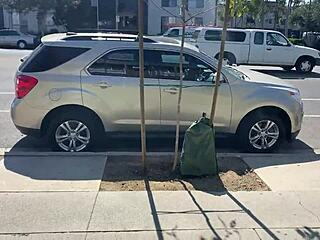 Inked Ava Lee Face Fucked by Rome Major After Rimming