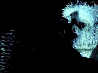 vintage granny fanny in a classic retro scene