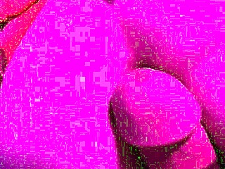 Want To See A Quick Doggystyle Session?