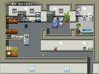 I defeat the evil organization as soldier Felia