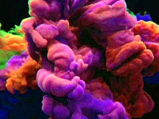 horniness hit on the bus and bianca played her flute again