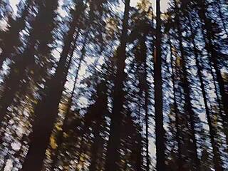 Ponorte se hluboko do Říše divů s venkovní párovou kuřbou