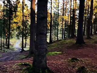 Dive Deep into Wonderland with Outdoor Couple Blowjob Fun