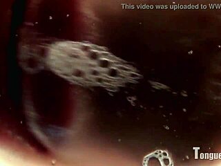 Sophia D's Tongue Fetish Spitting Scene