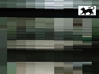 The Neighbor Is In Action Right Now!