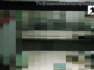 The Neighbor Is In Action Right Now!