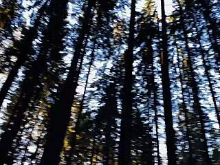 Dive Deep into Wonderland with Outdoor Couple Blowjob Fun