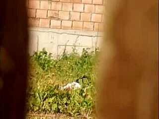 summer days bring out the voyeur in me, spying on neighbors flashing pussy and big tits