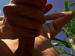 Helping a friend in the cornfield