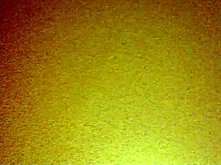 wp 20150912 002 bent over mexican amateurs doggystyle