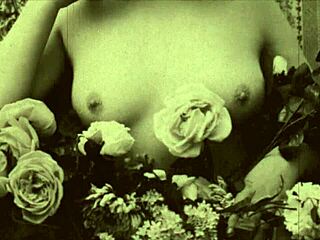 Dark Lantern Entertainment Presents Steam Age Porn with Hairy Beaver Fucking in Retro Vintage Style