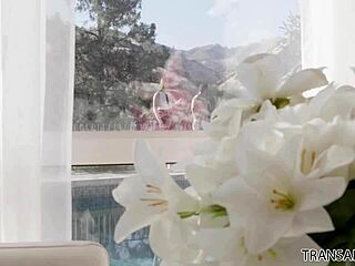 omg natalie mars, that tgirl real estate agent, blows my mind with her assfucking skills, i can't even think straight, her tits bounce wild while she rides me hard!