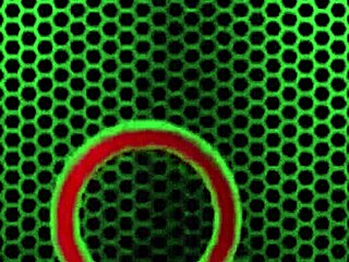 allie b gets tan ass eaten at allanal