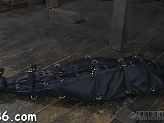 Harsh Whipping Applied To Enchanting Gal Brutally