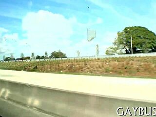 sexy gay guys are having some hot sex together