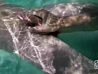 Sean Cody Hunk Sucks Cock In Puerto Rico Fantasy