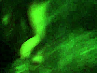 최고 펠라치오 이 블랙 뷰티 입 가득 정액 받는 거 볼래?