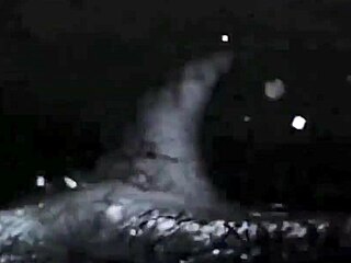 Vintage erotic art showcasing sensual retro cartoon styles in detail