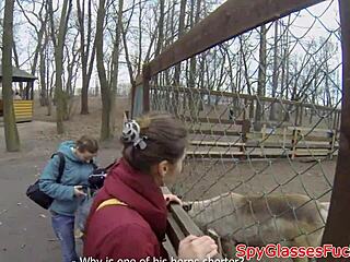 european amateur gets pov ass fucking on hidden cam