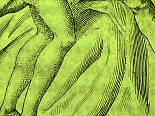 Vintage Erotic Drawings From Antique Retro Cartoons