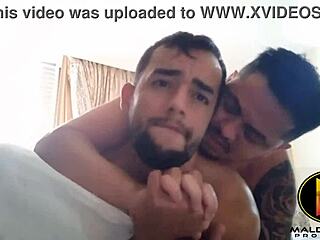 Accept love before it's too late happy valentine's day