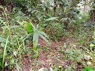 เฮ้ อยากเห็นฉันลองชิมหอยดำอวบๆ บนเตียงคืนนี้มั้ย?