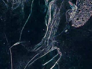 Warning Club Mix Lighting with Rimming and Blowjob