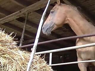 Elke stellt sich mit Doppelpenetration im Scheunenchaos vor