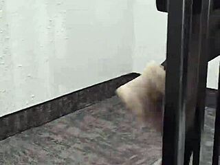 A YOUNG POETESS READS Poetry in Sexy Dress!