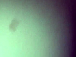 yo, mrs t, your tgirl friend's got such a hot ass