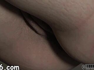 خلع عارية داخل قفص حديدي صغير للإثارة