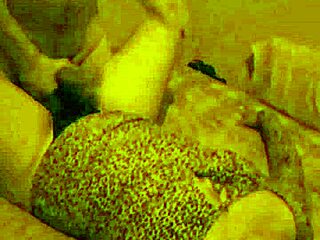 Latina Prostitute Bent Over Doggy Fuck At Holiday Party